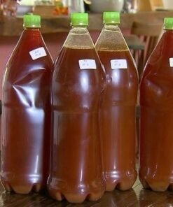 Buy Ayahuasca Tea Online