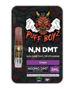 Puff Boyz NN DMT .5ML(400MG) Cartridge – Grape
