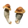 melmac mushroom