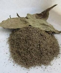 psychotria viridis leaves for sale